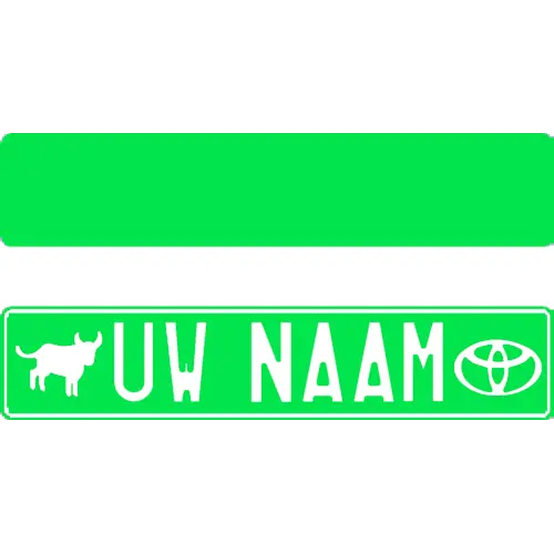 Plaque fun vert FLUO